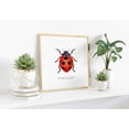 thumbnail image 2 of Seven Spotted Lady Beetle Poster Scientific Insect Illustration Ladybug Entomology Wall Art Minimal Nature Print 12x18 UNFRAMED, 2 of 2