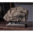 thumbnail image 2 of XINDAM Resin Dinosaur Fossil Statue Model Simulated Skeleton Home Office Display Decorative Craft Box Decoration (Style 1), 2 of 4
