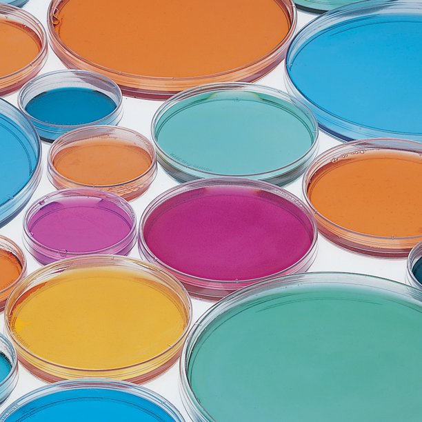 Glass Petri Dishes (120x130x25mm) Package of 10