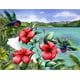 thumbnail image 1 of Rc. Gold Edition 300 Pzs, Flor Hibiscus WUUNDENTOY wuunden toy 0507, 1 of 4