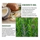 thumbnail image 4 of Jaysuing Rosemary Essential Oil Hair Growth Oils Pure Natural 30ml Hair Essential Oils For Nourish Shiny Hair Healthy Hair Care Eelhoe R, 4 of 5