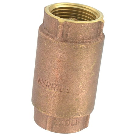 Hagen Check Valve - Flotec TC2502LF 1