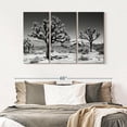 thumbnail image 6 of Elephant Stock Famous Joshua Trees Wall Art - Horizontal Multi Panel Canvas - Hallway Wall Decor - Floral And Botanical Multi Panel - Black And Gray Decor By Philippe Hugonnard - 50" x 32", 6 of 7
