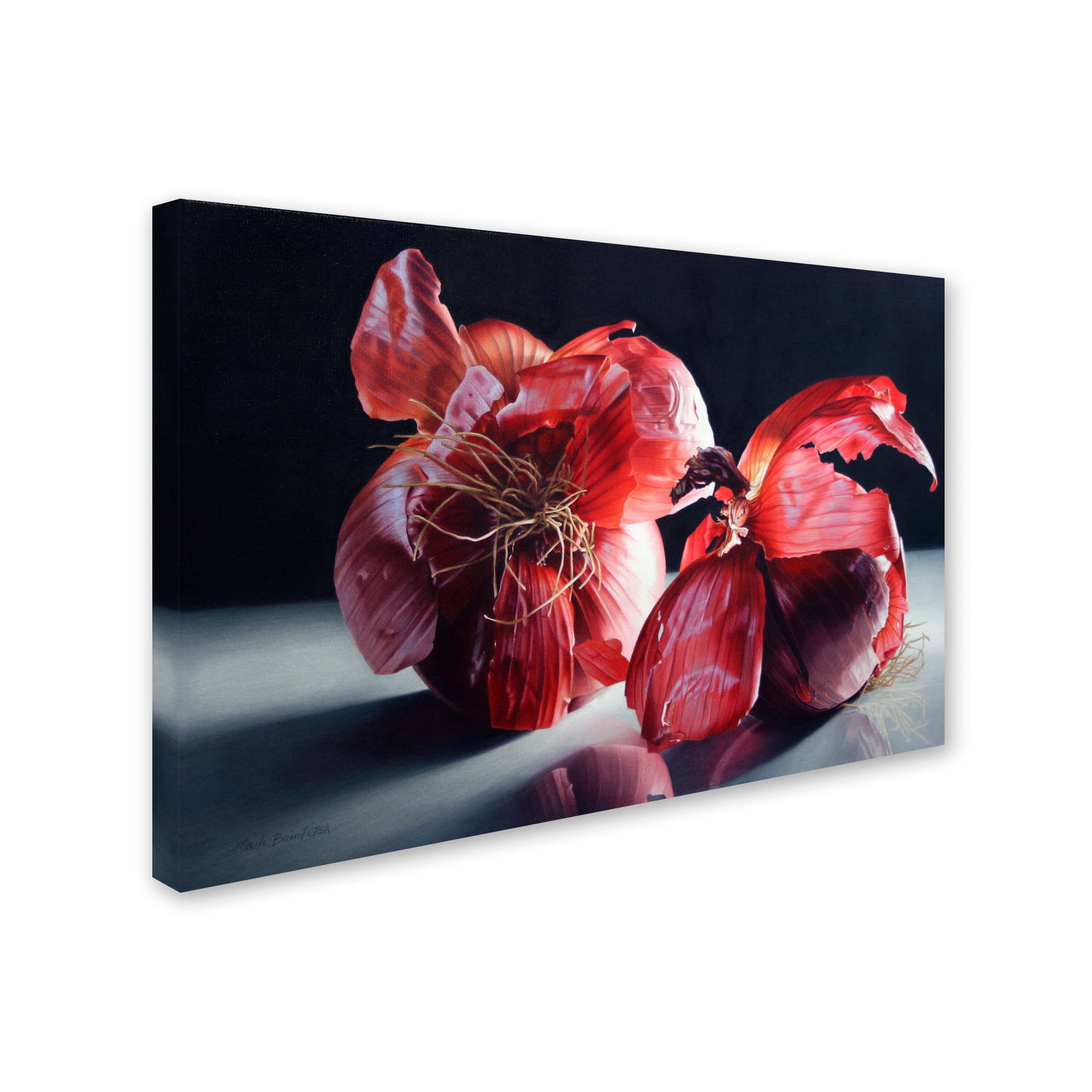 Trademark Fine Art "Beauty So Deep It Makes You Weep" Canvas Art by Cecile Baird