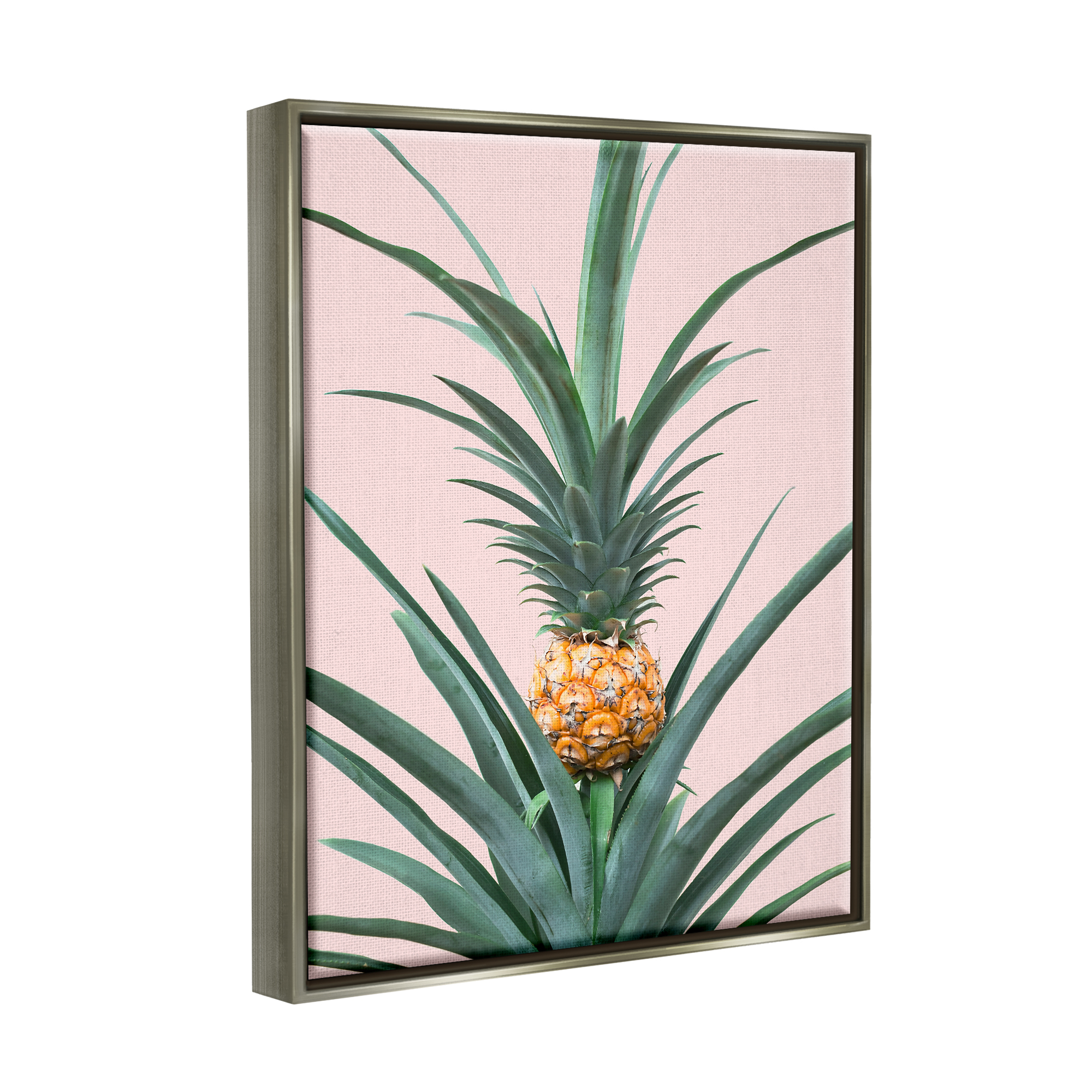 Stupell Industries Pineapple Plant on Pink Food & Beverage Photography Gray Floater Framed Art Print Wall Art, 25 x 31