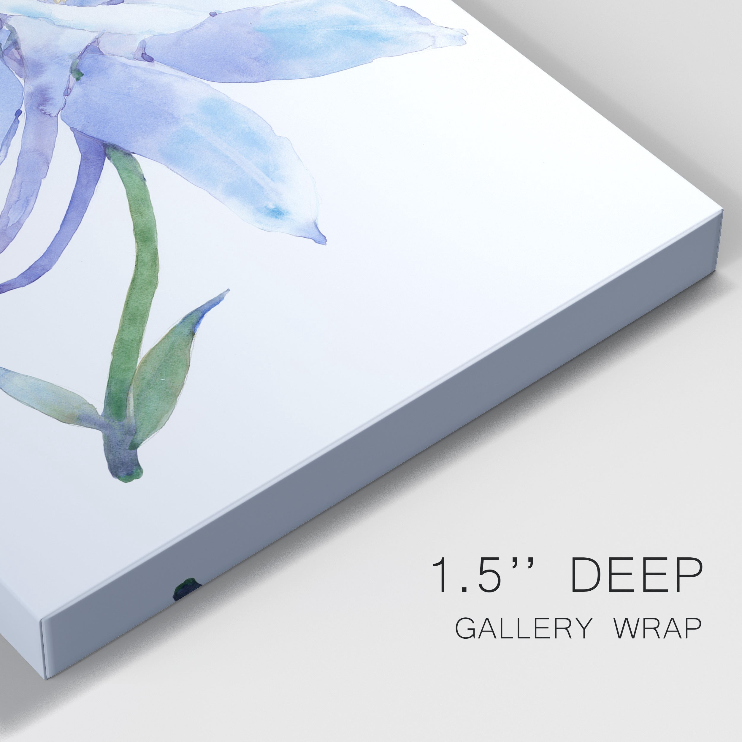 Columbine Bloom I Premium Gallery Wrapped Canvas - Ready to Hang
