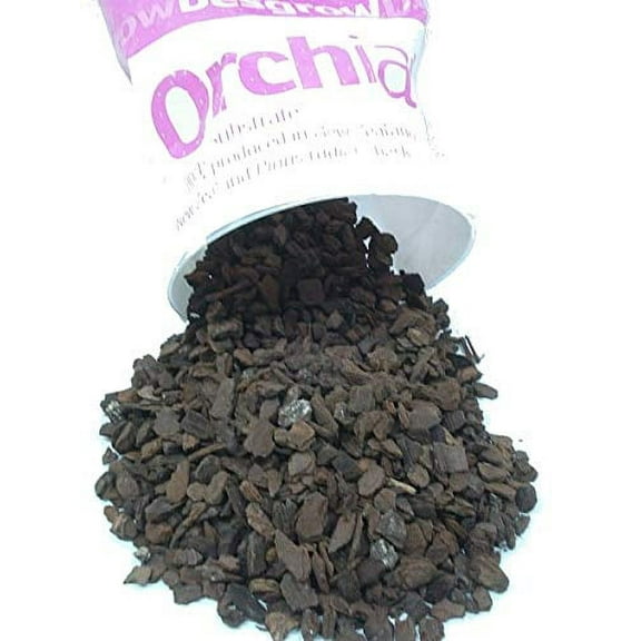 Orchiata Orchiata Bark Medium Live Plants in 1 Gallon Bag