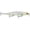 Bud, variant on Rapala Shadow Rap Jerkbait 11 Blue Ghost