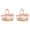 C, variant on Picnic Basket Wicker Basket with Lid and Handle, Woven Cute Storage Basket with Washable Lining and Dual Flap Lid, Natural Willow Picnic Hamper