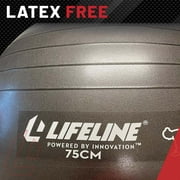 Lifeline Exercise Ball 65CM