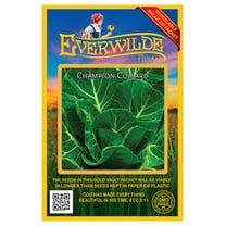 Everwilde Farms - 1000 Champion Collard Seeds - Gold Vault Jumbo Bulk Seed Packet