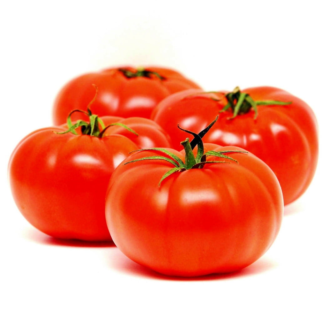 organic-beefsteak-tomato-plant-popular-slicer-no-gmo-s-4-5-pot