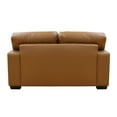 thumbnail image 3 of Benjara Nyk 65 Inch Cushioned Loveseat, Track Arms, Tan Leather Match Upholstery, 3 of 3