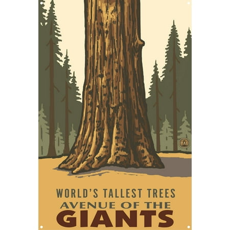 Avenue of the Giants Worlds Tallest Trees Redwoods California Metal Art Print by Paul A. Lanquist (12