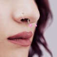 thumbnail image 3 of 20Pcs Colorful Nose Septum Rings Ear Rings Body Stainless Steel Piercing Studs Jewelry Lip Eyebrow Ring Hoop Screw, 3 of 8