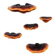 thumbnail image 1 of Set of 5 Mushroom Shelf Wall Decor Small Wall Shelf for Bedroom Resin Mushroom Decor Floating Shelve, 1 of 5