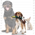 thumbnail image 2 of Juguete de peluche para perros TUFFY Barnyard Junior Duck con chirriadores, 2 of 7