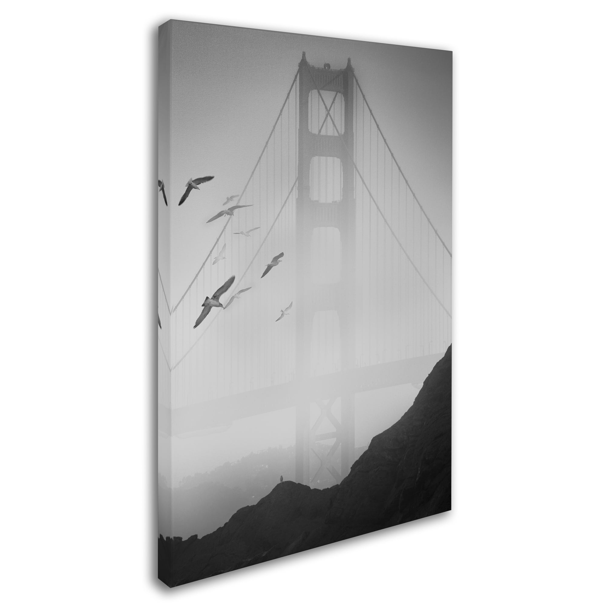 Trademark Fine Art "Golden Gate Pier and Birds I" Canvas Art by Moises Levy