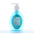 thumbnail image 2 of Hemani Antiseptic Hand Sanitizer 250ml, 2 of 2