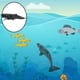 thumbnail image 3 of Figuras de Animales Perfecl Vida marina Juguetes educativos marinos Conjunto de juegos, 3 of 8