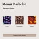 thumbnail image 4 of TOP ROTO - Perfume Roll On | Perfume de aceite esencial | Agua de perfume de jojoba y aceite esencial | Vegano Natural (Monte Bachelor), 4 of 6