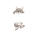 thumbnail image 1 of Wosthever Lindo gato interruptor pegatinas sala de estar dormitorio calcomanía animales patrones autoadhesivo extraíble ventana puerta papel tapiz Decoración del hogar 14.8x15cm Wosthever HA079984-01, 1 of 6