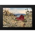 thumbnail image 2 of Daultich, Nick 18x13 Black Modern Framed Museum Art Print Titled - Fairytale Barn, 2 of 5