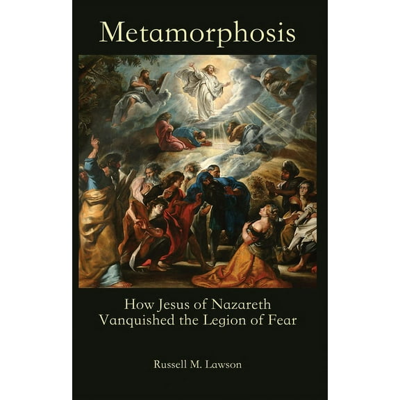 Metamorphosis (Paperback)