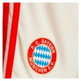thumbnail image 2 of 2024-2025 Bayern Munich Third Shorts (Linen), 2 of 2