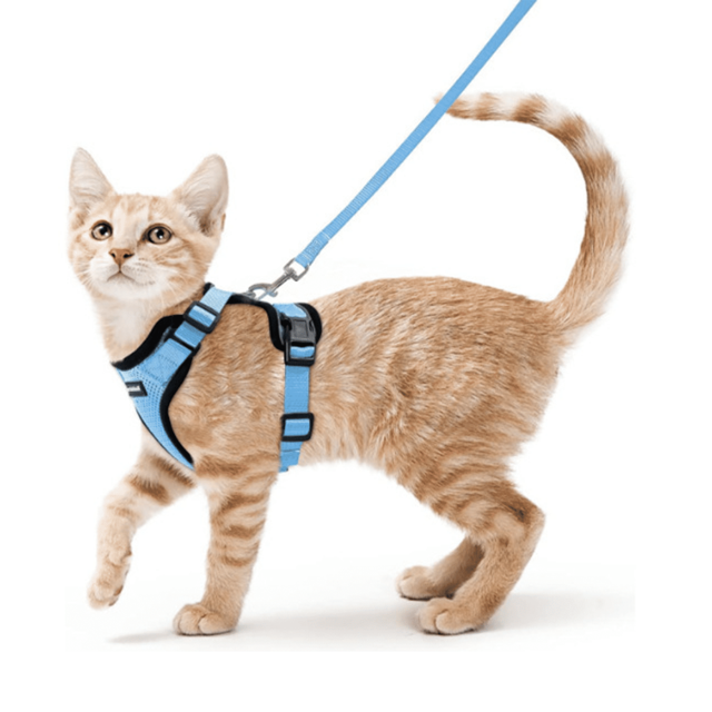 EIGTHTAIL Cat Harness Adjustable Anti-Escape Vest Reflective Design Adjustable Length Quick-Release Buckle Cat Harness and Leash 11.0-13.7inx18.0-20.0inx150cm Green