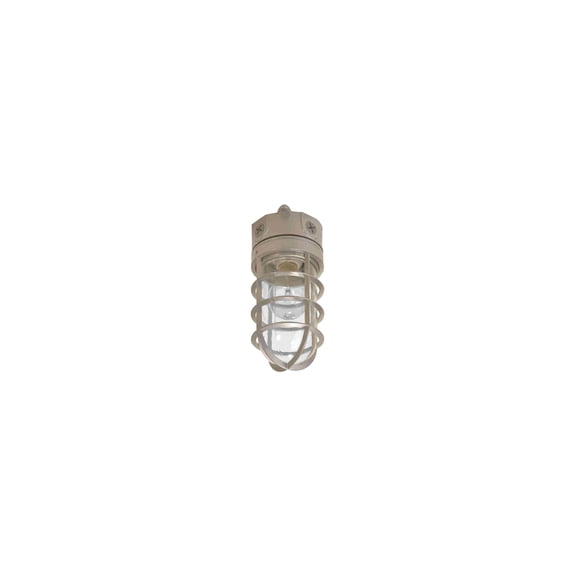 COOPER LIGHTING Floodlight With Bulb Guard, Incandescent, 100-Watt VT100G