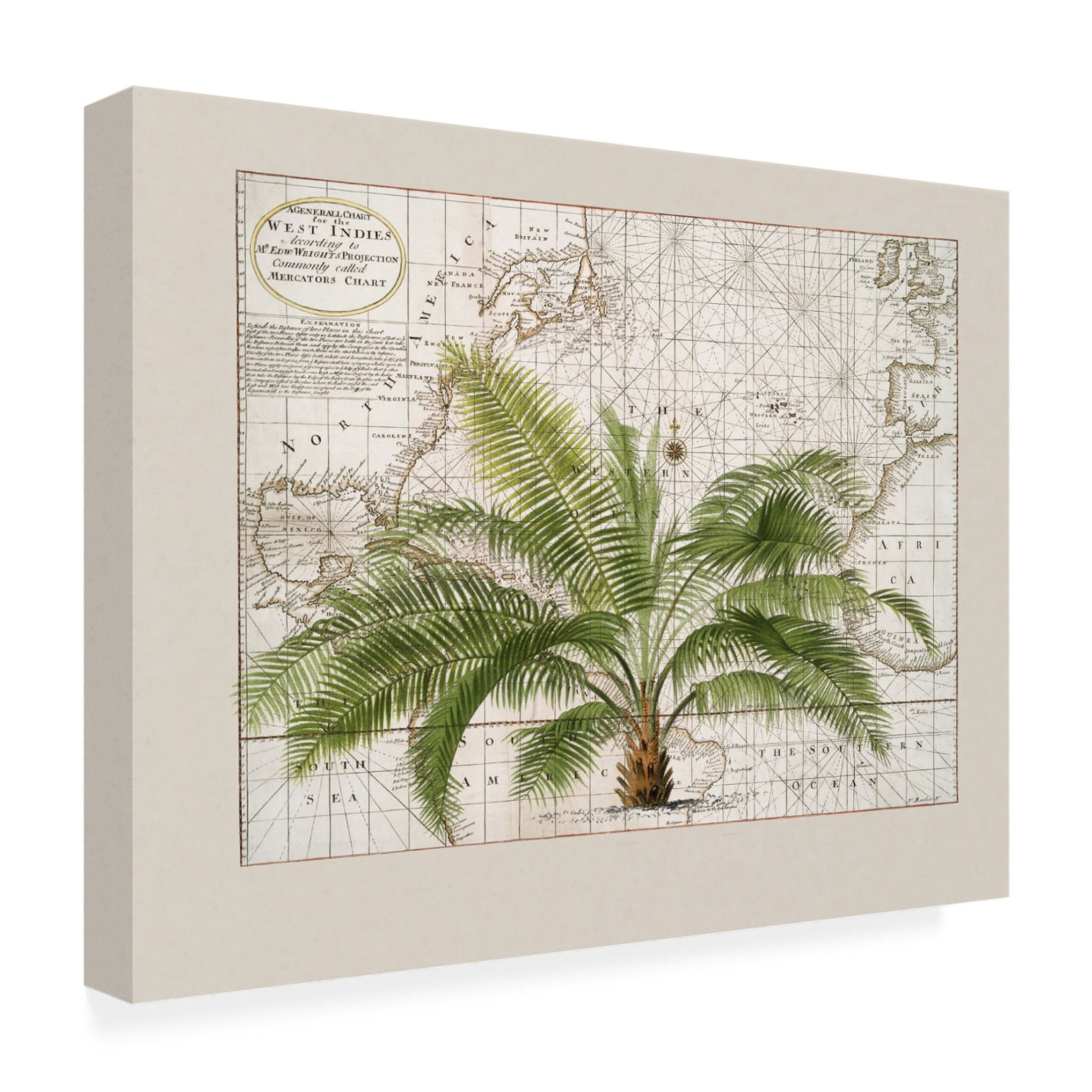 Trademark Fine Art Andrea Haase  Tropical Empire No1 Canvas Wall Art