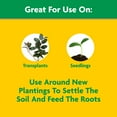 thumbnail image 6 of Miracle-Gro Quick Start Planting and Transplant Starting Solution, 48 oz., 6 of 11