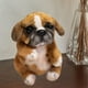 thumbnail image 1 of Muñeco de peluche de perro de 7,87 pulgadas para decoración, juguete de simulación de perro de dibujos animados para niños, regalos de cumpleaños para marrón, 1 of 10