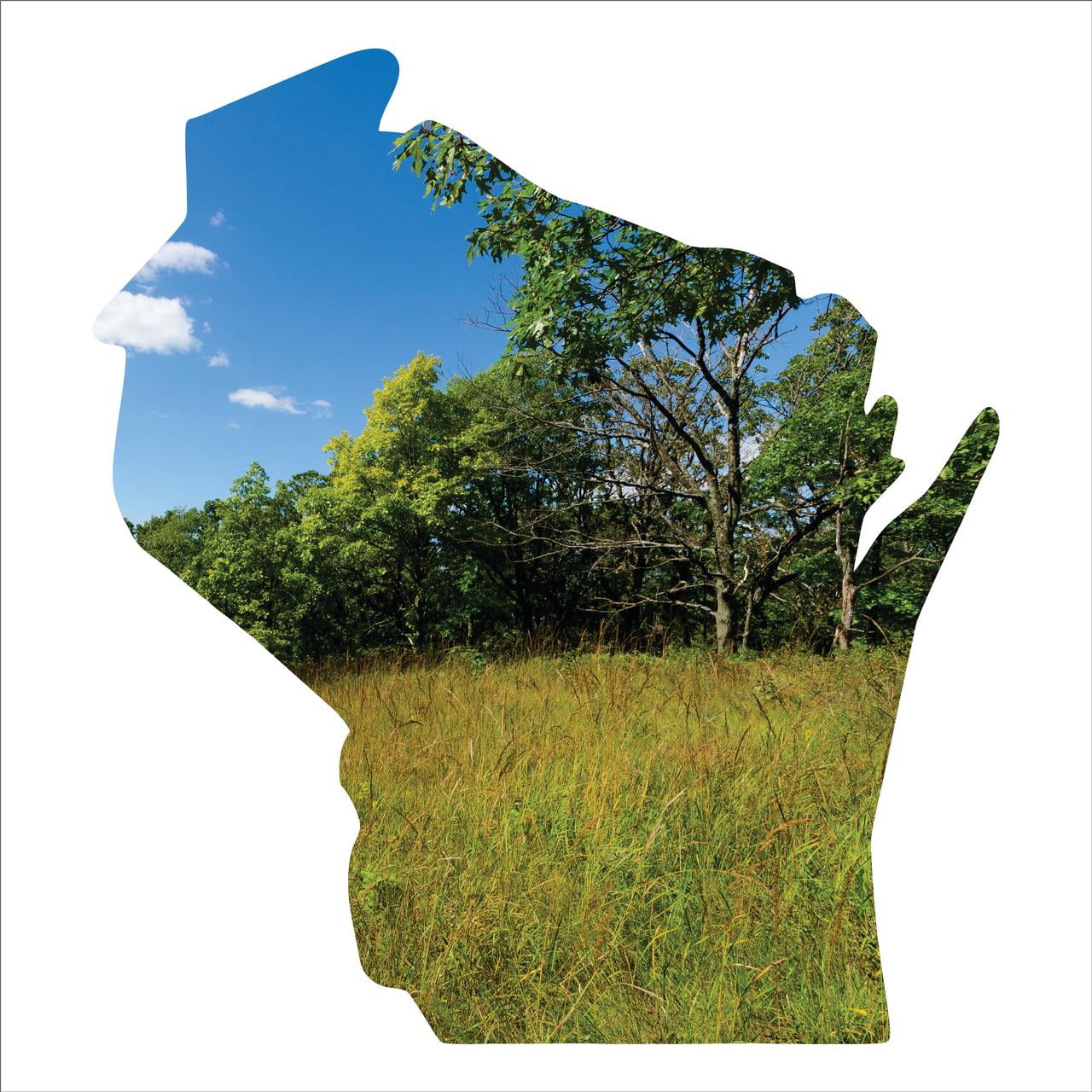 Precision Metal Art Wisconsin Silhouette Metal Laser Cut Wall Art with Vivid ImageSize18