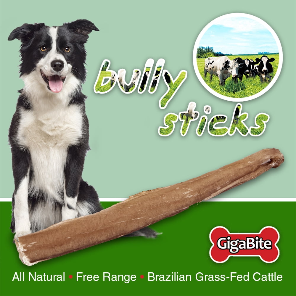 gigabite bully sticks