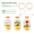 thumbnail image 3 of Eyfqtcs Angel Ring Plant Light Sunlight Phytolamp Lámpara De Vivero Usb (Uno Para Dos), 3 of 8