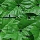 thumbnail image 3 of Valla De Privacidad Artificial Pantalla de valla de privacidad artificial Valla de hojas de hiedra sintética (hojas de batata claras) Wdftyju Libre de BPA, 3 of 4