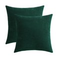thumbnail image 1 of Fundas de almohada decorativas Jeneoo, 50 x 50 cm, chenilla, 2 unidades, verdes, 1 of 7