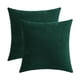 thumbnail image 1 of Funda de almohada decorativa Jeneoo, 2 unidades, chenilla verde, 40 x 40 cm, 1 of 7