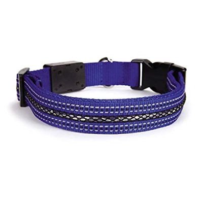 Casual Canine ZA1063 14 19 LED Collar 14-20In Blu