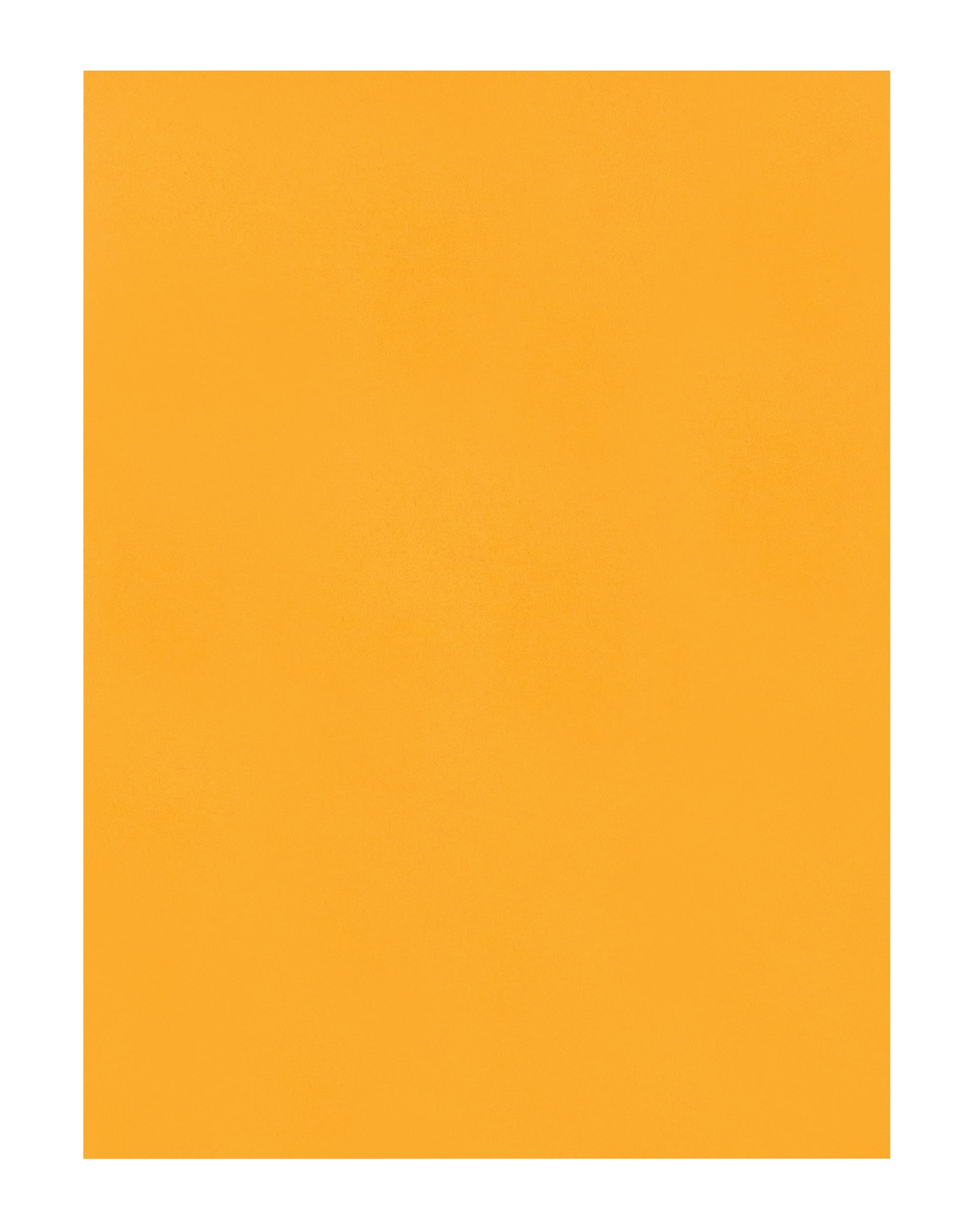 Quality Park® 9 x 12 Catalog Mailing Envelopes, Redi-Seal® Self Seal Closure, 28 lb Kraft, 250 per Box
