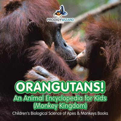 Orangutans An Animal Encyclopedia For Kids Monkey