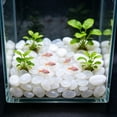 thumbnail image 6 of Gallickan 200pc Glowing Aquarium Decorative Stones, Luminous Pebbles for Fish Tank, Garden, Pathway, Safe Resin, Create Magical Night Ambiance, 6 of 6