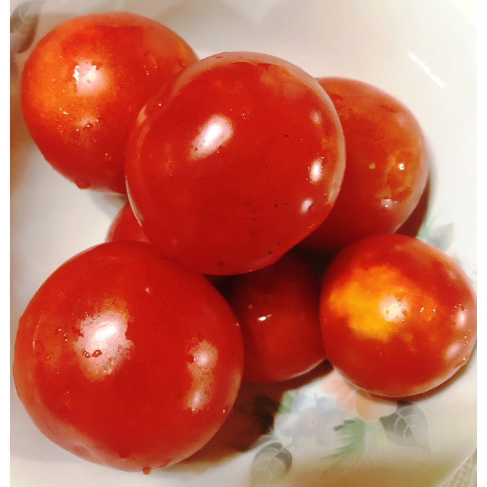 Papaw's Dwarf Pixie Tomato Seeds