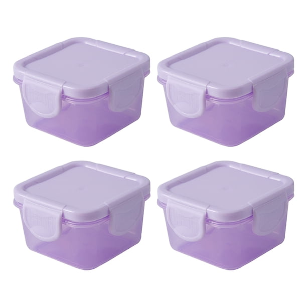 4pcs Mini cajas de fresco de mantenimiento de frescos Contenedores de verduras conjuntamente Caja de condimentos