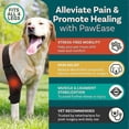 thumbnail image 3 of Dog Knee Brace for Torn ACL Hind Leg,Strong Support to Reduce Joint Pain and Muscle Sore, with Side Stabilizers for Back Leg, 3 of 5