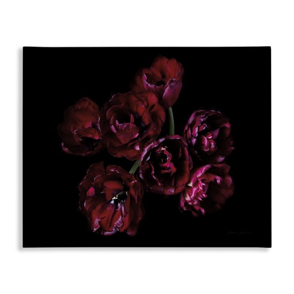 Stupell Industries Transitional Dark Peonies Floral Bouquet Canvas Art, 20 x 16, by Floragraphica