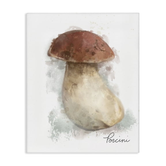 Stupell Industries Contemporary Abstract Porcini Mushroom Canvas Art, 30 x 40, by Matthew Piotrowicz
