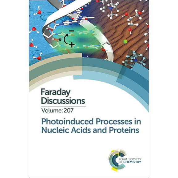 Faraday Discussions Photoinduced Processes in Nucleic Acids and Proteins: Faraday Discussion 207, Book 207, (Hardcover)